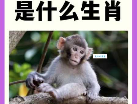 尖担担柴两头脱是什么生肖 一篇文章告诉你答案
