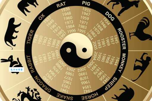 鱼目混珠指的是什么生肖 这些生肖最擅长伪装自己