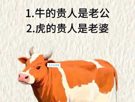 艺高胆大是什么生肖 这几个生肖做事最大胆