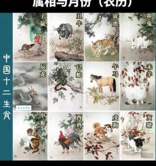 花前月下是什么生肖 原来和这个属相最配