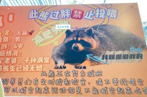 缄舌闭口打一个生肖动物你猜对了吗