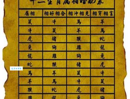 减灶之计打一正确生肖十二生肖中谁最懂策略与计谋