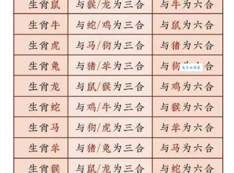 花天酒地打一个生肖答案揭晓快来看