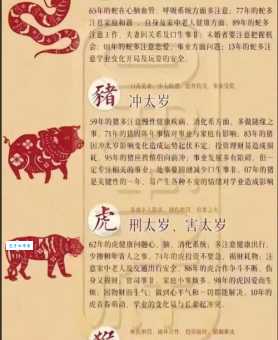 嫉恶好善说的是什么生肖，答案分析一看就懂