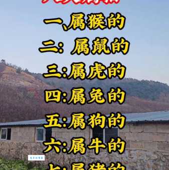 短小精悍是什么生肖 原来它们最机灵