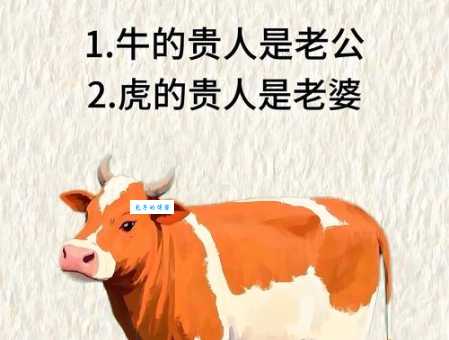 目光如豆是什么生肖 这几个生肖常常只顾眼前利益