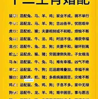 点滴归公是什么生肖 揭秘十二生肖中的公正代表