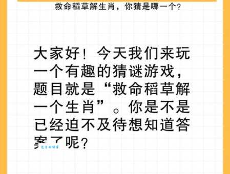 彷徨四顾打一正确生肖解析这个生肖最符合
