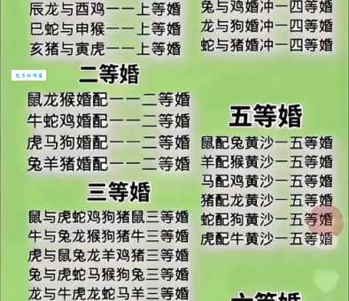 男大当婚打一准确生肖原来是这个动物