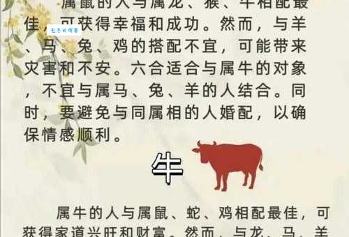男大当婚打一准确生肖原来是这个动物