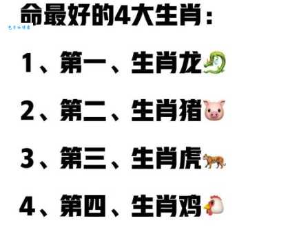 哪个生肖五内如焚 十二生肖中谁最容易着急上火