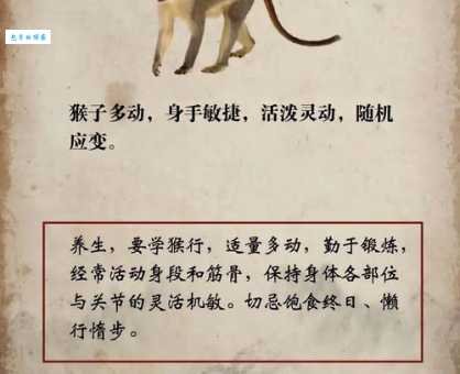 蝼蚁得志形容哪个生肖动物 真相让人恍然大悟