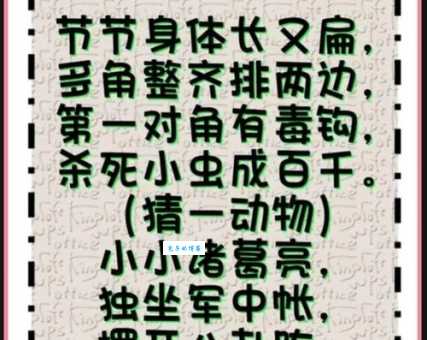 摇首顿足打一动物猜谜技巧教你快速找到答案