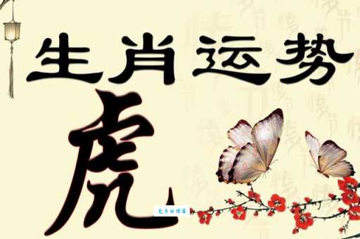四平八稳是什么生肖 揭秘性格最沉稳的生肖