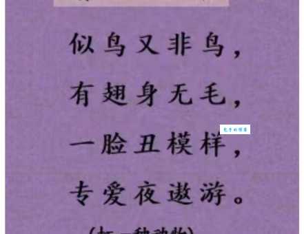 白叟黄童打一动物谜语解析一看就懂