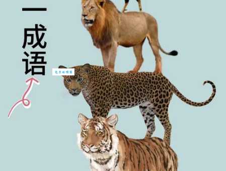 八面玲珑打一正确动物原来是它你猜对了吗