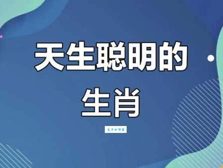 惊心动魄是什么生肖动物这些属相天生胆大爱冒险