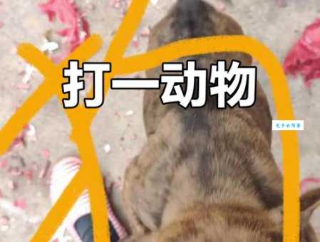 苟延残喘打一种动物猜猜是什么