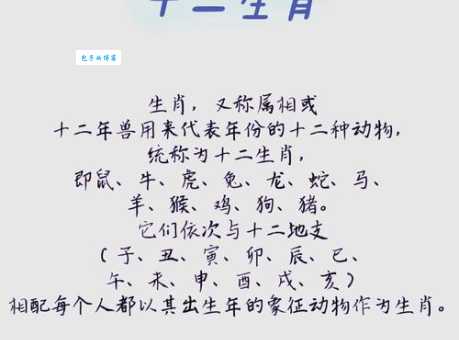 惊涛骇浪是什么生肖 揭秘十二生肖中的波涛象征