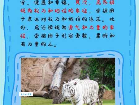 虎虎生威指什么生肖 老虎的象征意义是什么