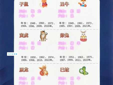 一语双关是什么生肖 这些动物暗藏玄机