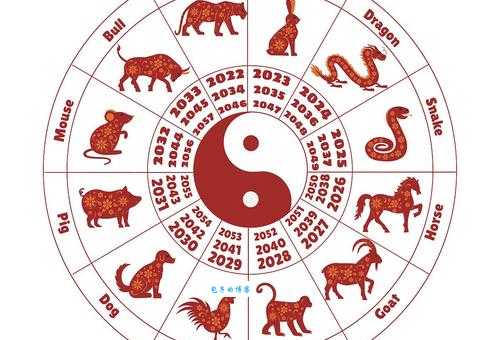 天字一发六可定打一准确生肖猜对了吗来看看