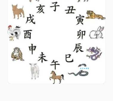二七合三起一六指什么生肖快来猜猜看