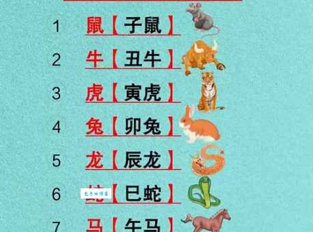 野外风光是什么生肖 揭秘大自然中的十二生肖代表