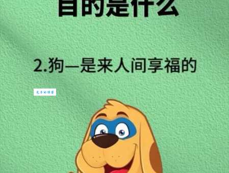 小心眼儿是什么生肖 看看这些生肖最爱斤斤计较