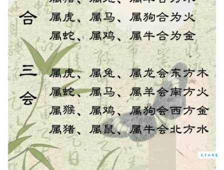 三马同槽是什么生肖 这几个生肖的人要注意了