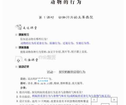 作舍道边打一动物答案竟然是一种常见生物