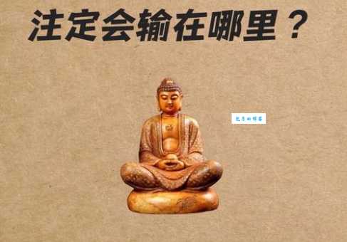 出家弃俗猜一动物原来这个生肖最佛系