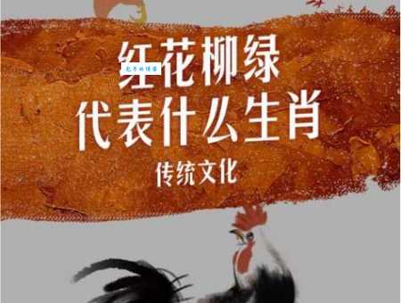 七二不凑十回头是指什么生肖 看看你是不是猜对了