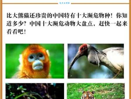 为富不仁打一动物答案竟然是这个常见生物