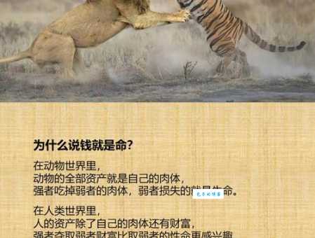 为富不仁打一动物答案竟然是这个常见生物
