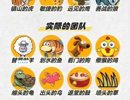 天下一家解什么动物正确答案原来是这样