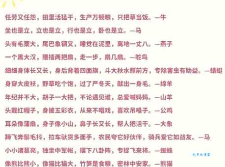 天下一家解什么动物正确答案原来是这样