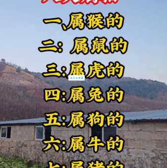 后生晚辈打一生肖猜猜看是什么动物