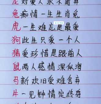 情深似海打一个生肖答案竟然是这个动物