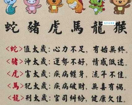 东海一朵花牵藤西山洼猜生肖原来是这样