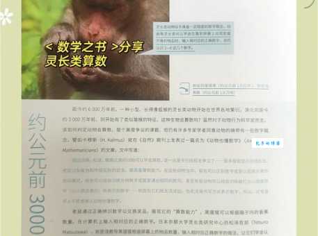 老谋深算形容什么动物 哪些动物最会算计