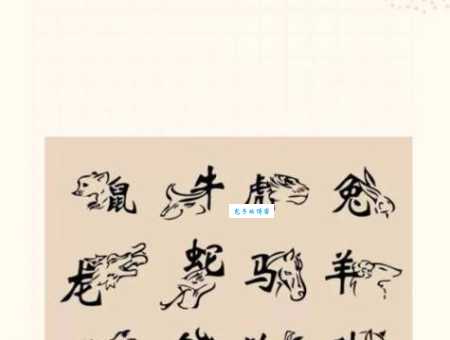 鼠头鼠尾是什么生肖 原来指的是这两个属相