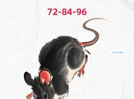 鼠头鼠尾是什么生肖 原来指的是这两个属相