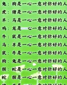 一心一意是什么生肖 这些生肖对感情最执着