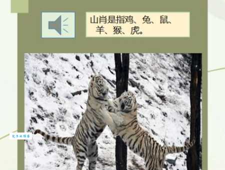 游山玩水得佳人正确生肖原来是这几个