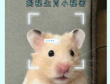 狭路相逢是什么生肖 遇到对头时哪个生肖最强势
