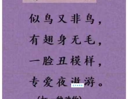 缺斤短两打一动物谜底揭晓原来这么简单
