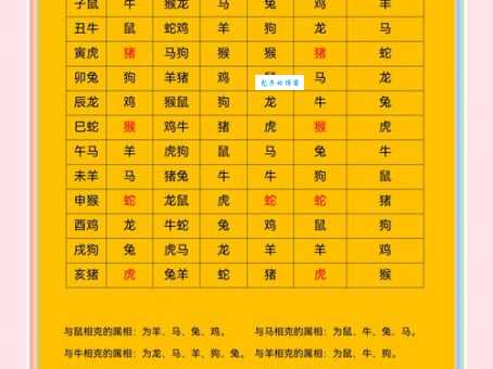 寻找成群结伙的动物是什么生肖 这些生肖最合群
