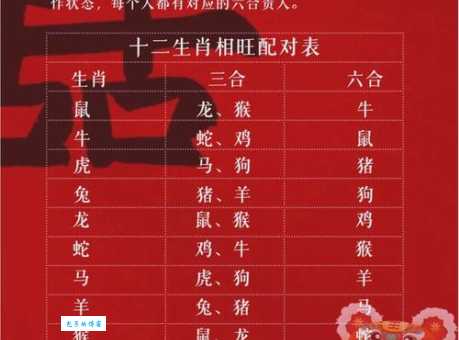 寻找成群结伙的动物是什么生肖 这些生肖最合群