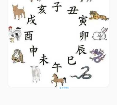 想知道半夜三更是什么生肖 看这里就对了